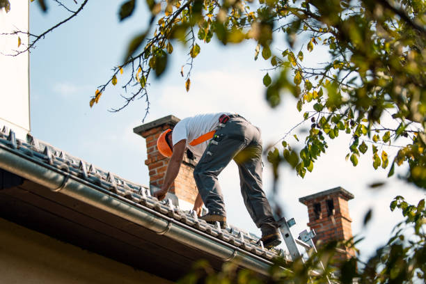 Best Storm Damage Roof Repair  in Rainier, OR